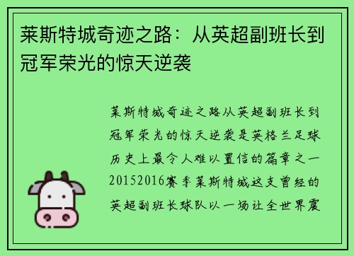 莱斯特城奇迹之路：从英超副班长到冠军荣光的惊天逆袭