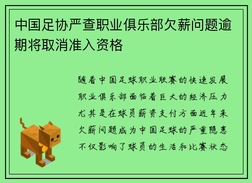 中国足协严查职业俱乐部欠薪问题逾期将取消准入资格